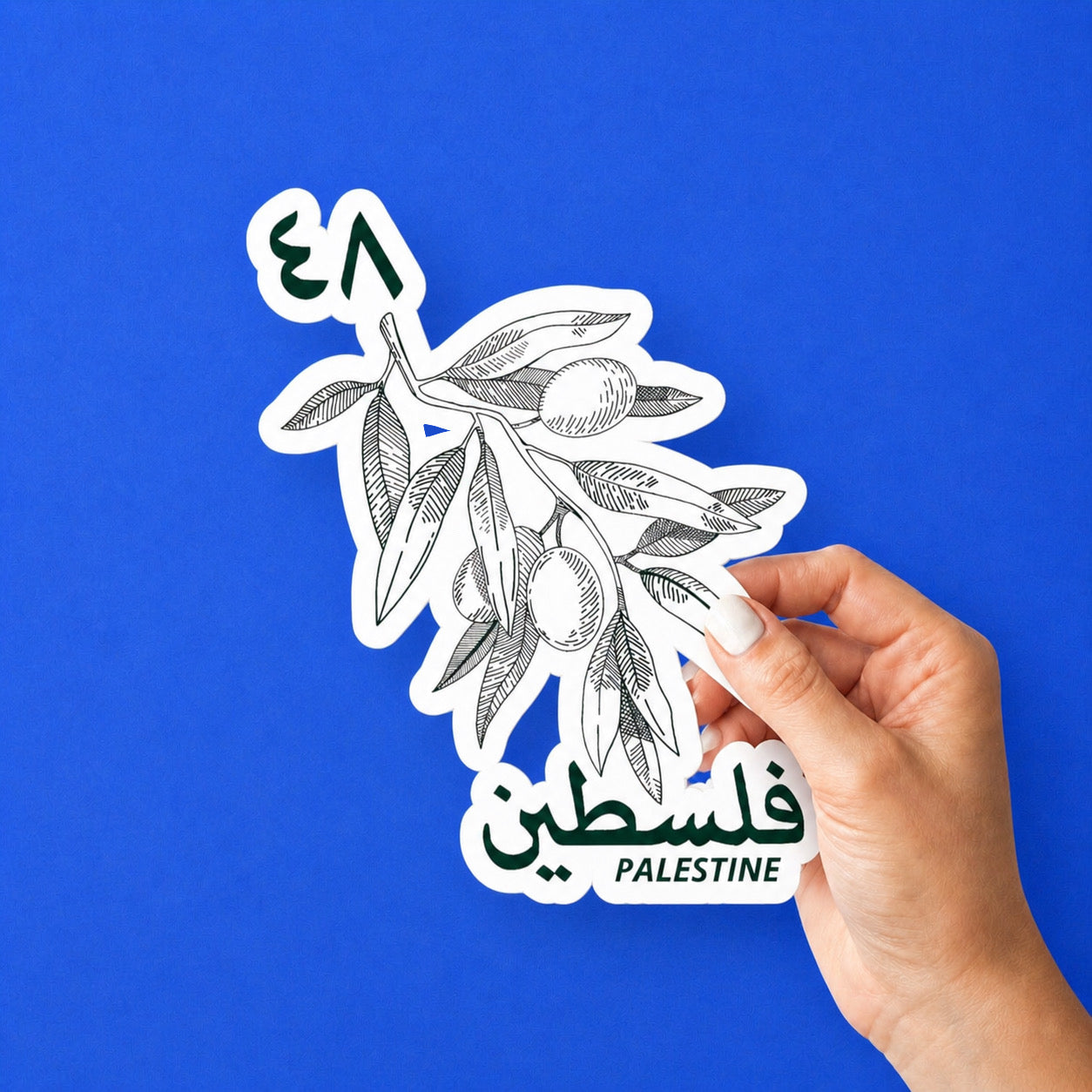 Palestine Olive Branch Sticker Arabic Falasteen Vinyl Decal Middle East Laptop Water Bottle Sticker